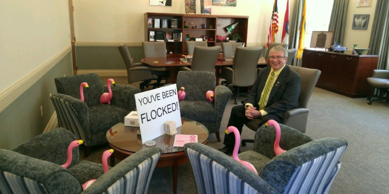 Flamingo flocking has commenced