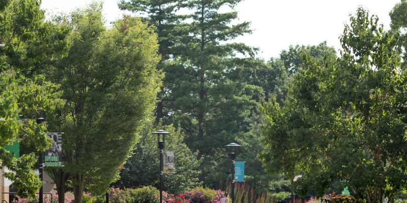 Summer enrollment grows by 30%