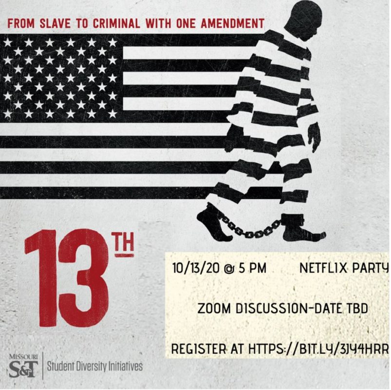13th documentary graphic
