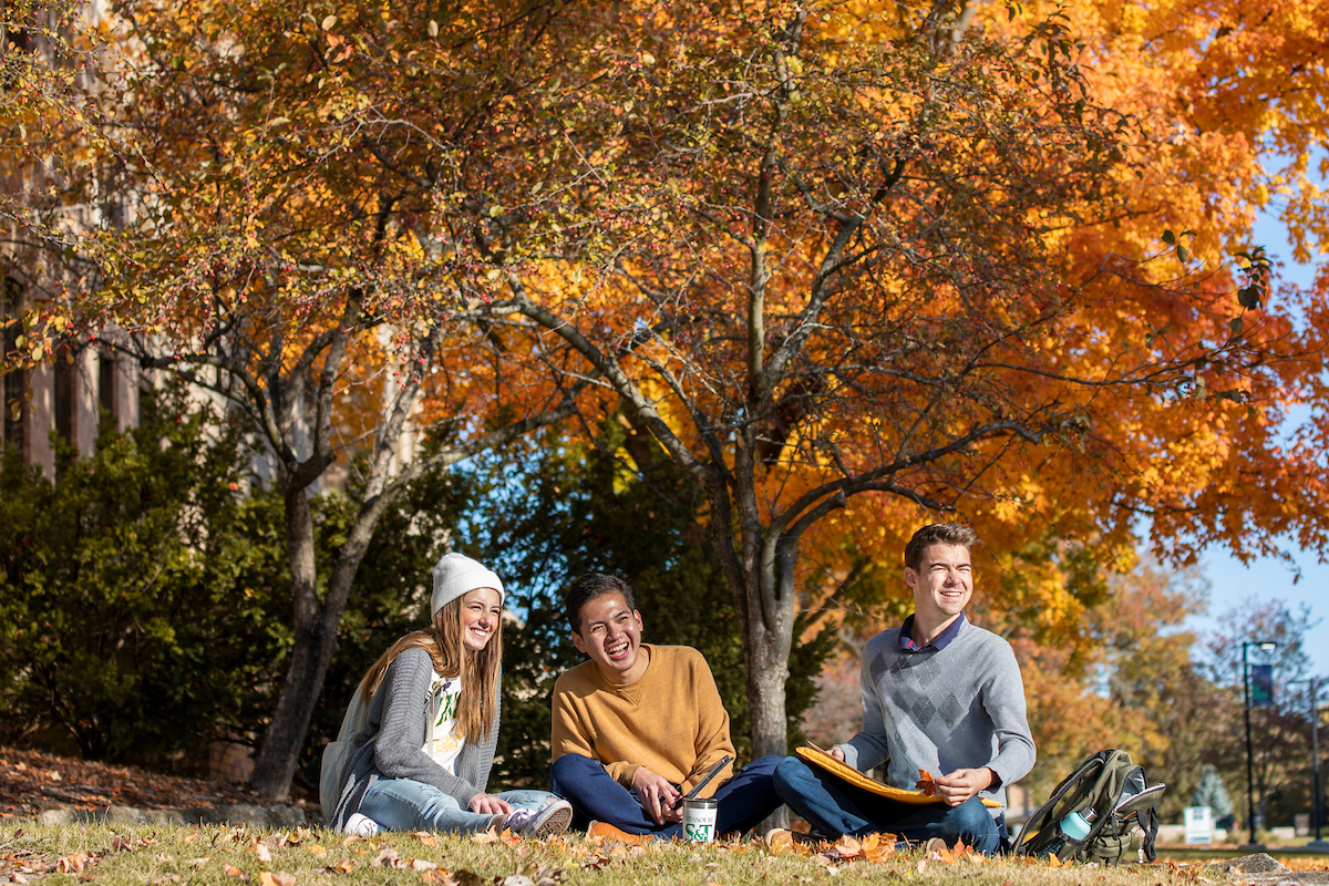 Students sitting on the ground talking under a tree with fall foliage.