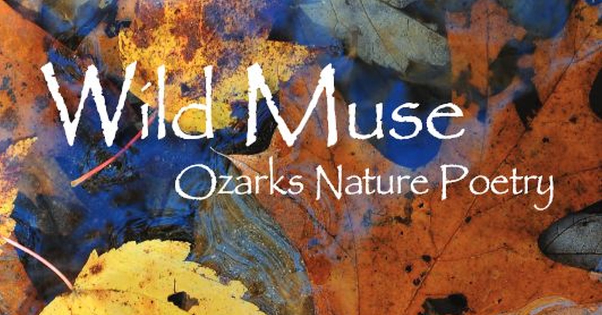 Missouri S&T – eConnection – 2nd Annual Ozark Conservation Heritage ...