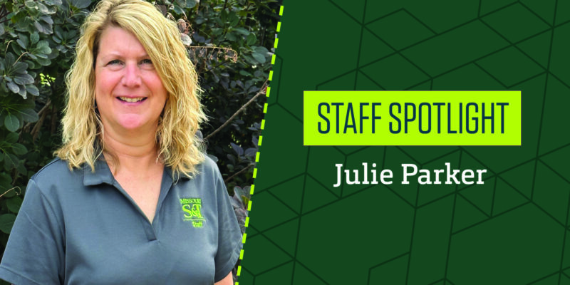 Staff Spotlight: Julie Parker