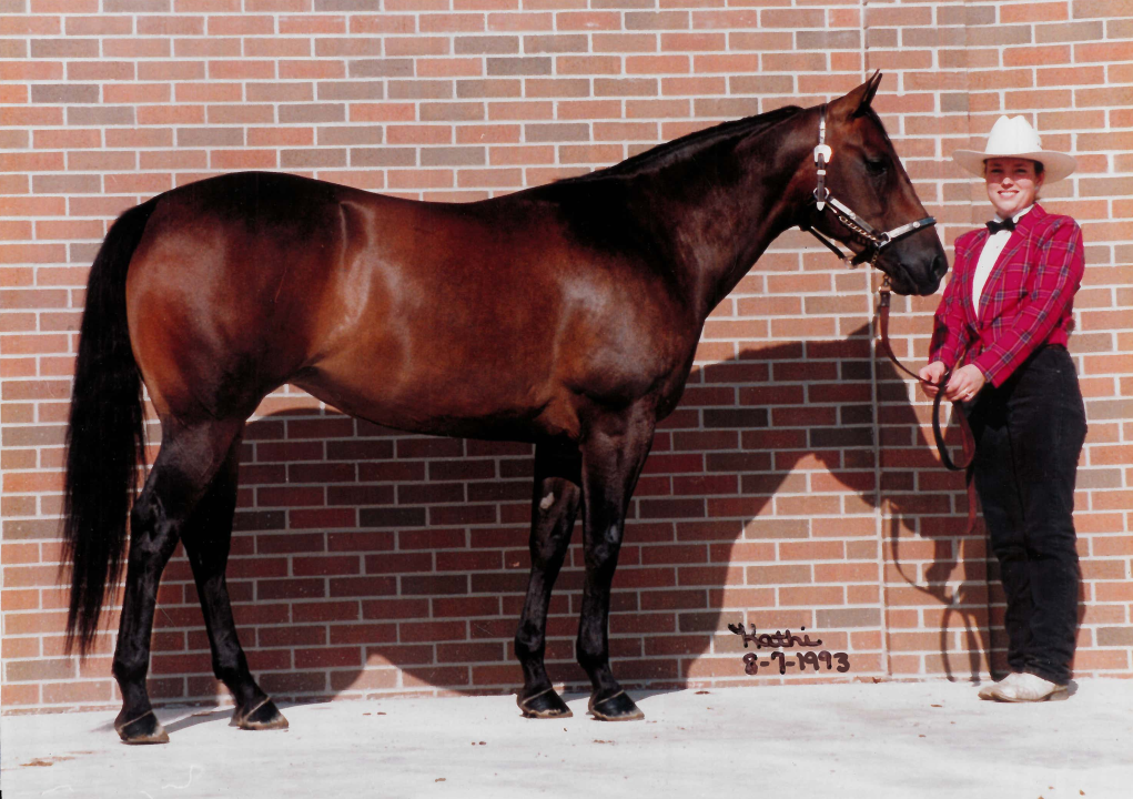 Anne posing where her mare, Bobo.