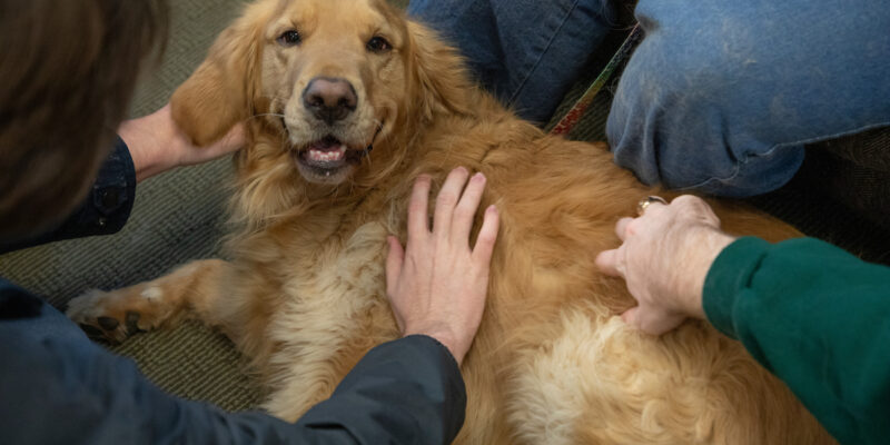 Center fosters student success