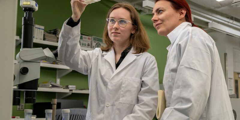 Experiential learning expands undergraduate research opportunities