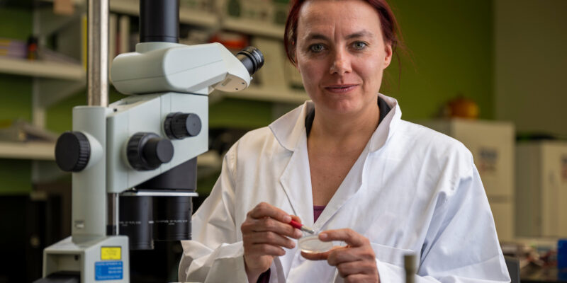 Scharf selected for NIH scholars program