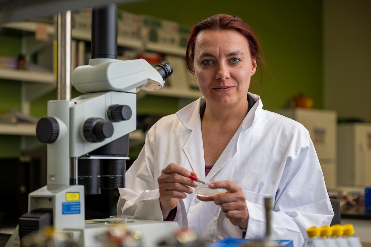 A woman in a white lab coat works near a microscope.