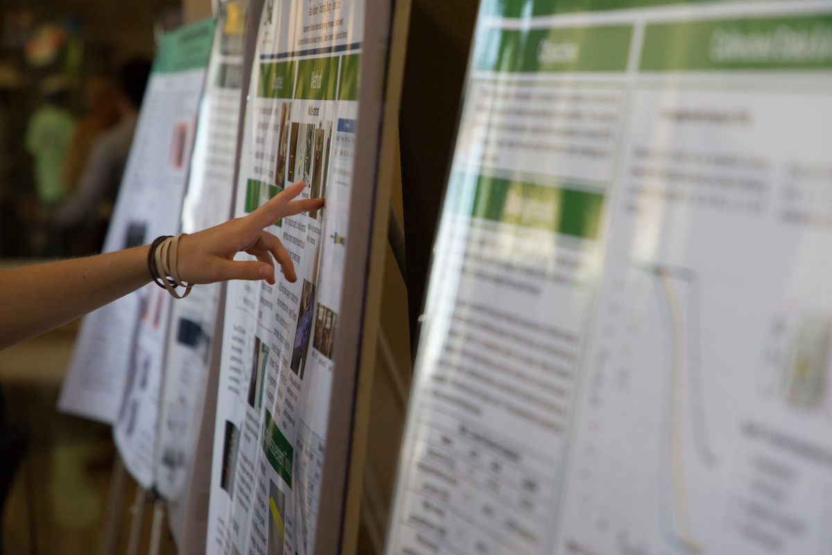 A display of research posters.
