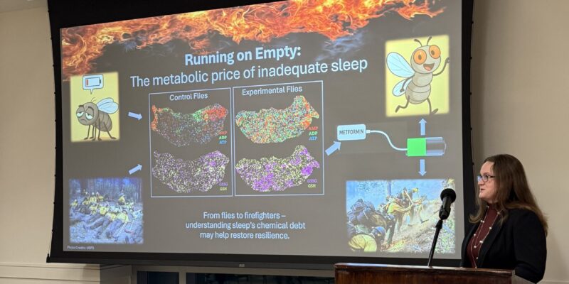 Harrell wins 3MT competition