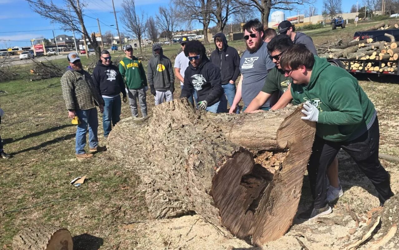 A group of people work to remove a large tree trunk.