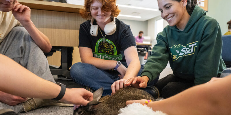 Events planned for wellness week