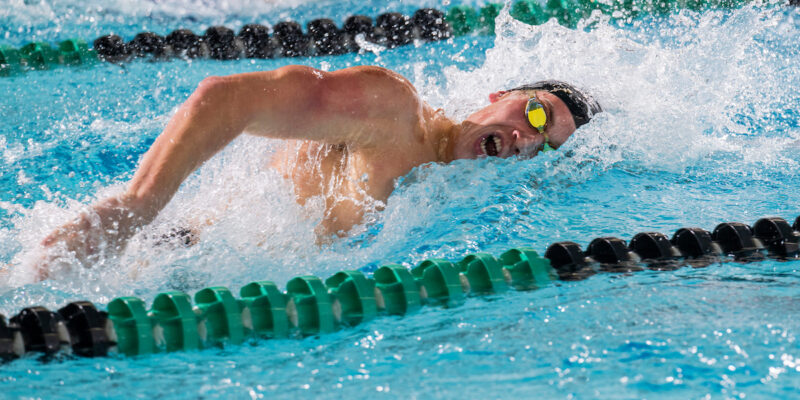 Three qualify for NCAA Division II swimming championships
