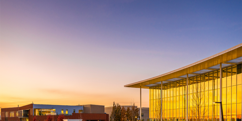 New PhotoShelter portal now live