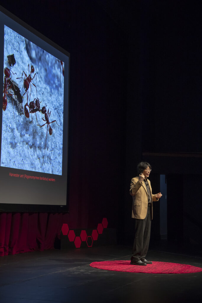 Person standing on a stage giving a presentation on a red circular platform while a large screen displays an image of ants.