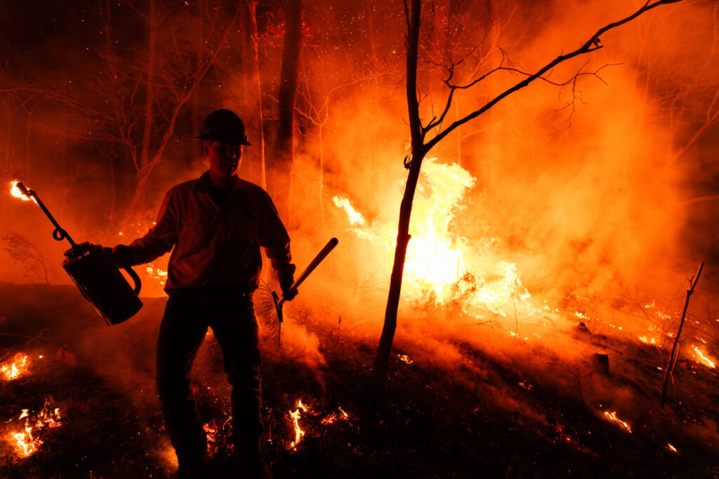 A firefighter stands in a forest during a prescribed burn, holding ignition equipment as flames and smoke illuminate the nighttime scene.